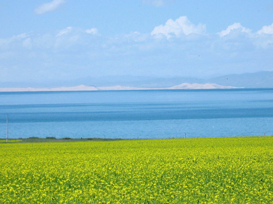 9 Days Xining, Tongren, Xiahe, Zhongwei and Yinchuan Tour