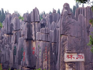 3 Days Kunming Tour