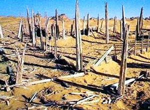 Meili Kawat Ruins of Hotan
