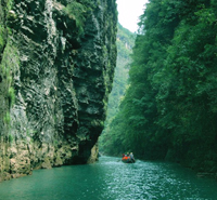 Shennong Stream