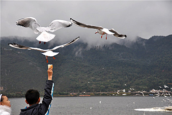 Dianchi Lake