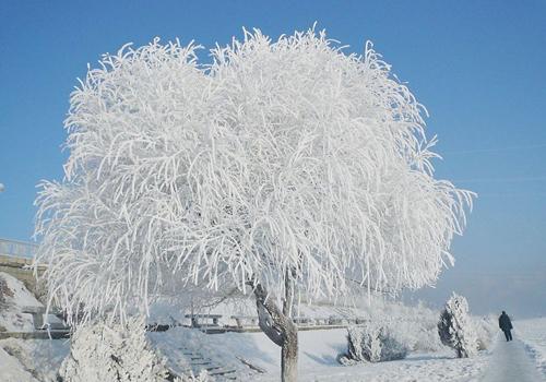Jilin Weather
