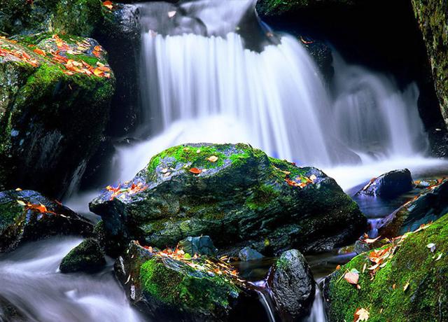 Resultado de imagem para Shennongjia national nature reserve