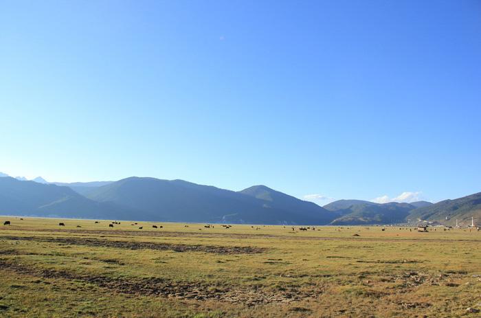 Yak Plateau of Lijiang is a typical pasture accompanied with Yuloong snow mountain, crystal Heishui River and dense primeval forest.