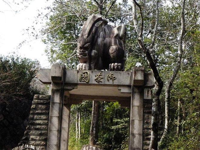 Wuyi Royal Tea Garden was the official tea supplier to imperial court in ancient times.