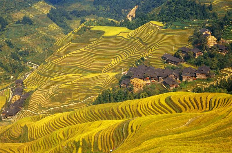 Itinerarios China por libre: Rutas, Dudas y Consejos - Foro China, Taiwan y Mongolia