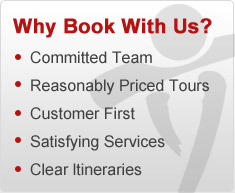 Why choose us