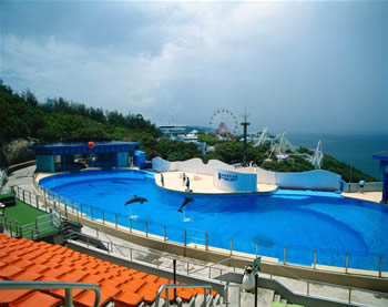 Half Day Ocean Park Tour