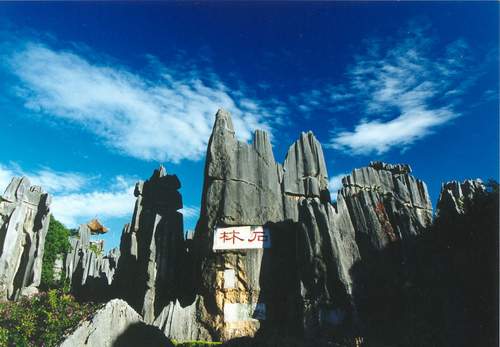 One Day Classic Stone Forest Tour