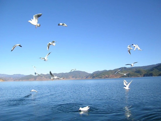 10 Days Lanzhou, Xining, Zhongwei, Yinchuan, Erdos, Baotou, Hohhot Tour