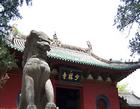 3 Days Luoyang City & Shaolin Temple Tour