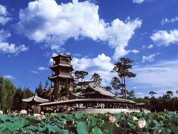 Water Lily Chengde Mountain Resort and Outlying Temples,Bishu shanzhuang,Beijing