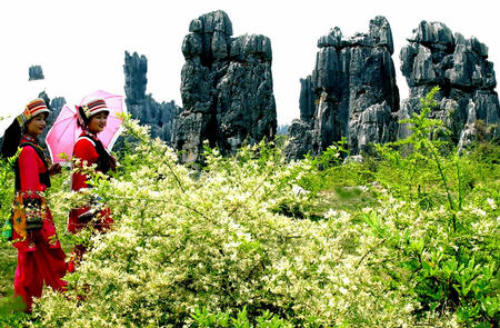 The local people in Stone Forest,Kunming Tours,Kunming Yunnan Province