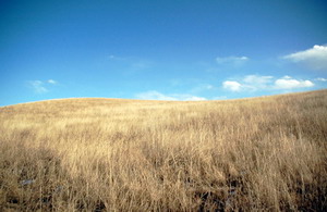 China Tours, Gansu Travel Guide, Xiahe of Gansu