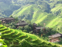 Houses of Yao and Zhuang Ethnic Tribes,Longsheng Tour,Guilin