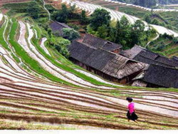 Houses and people of Yao and Zhuang Ethnic Tribes,Longsheng Tour,Guilin