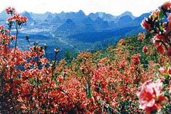 China Tour, Guilin Travel Guide, Yaoshan Mountain of Guilin