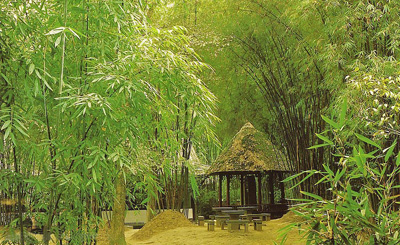 China Travel Guide, Sichuan Tours, Chengdu Attraction, Thatched Cottage of Dufu in Chengdu