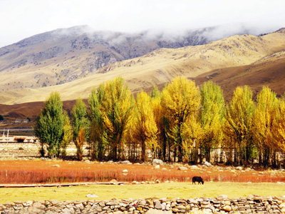 China Tours, Sichuan Travel Guide, Daocheng Tours of Sichuan