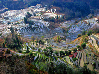 China Tours, Yunnan Travel Guide, Yuanyang Terraced Fields of Yunnan