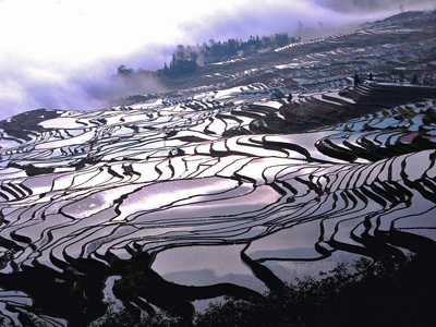 China Tours, Yunnan Travel Guide, Yuanyang Terraced Fields of Yunnan