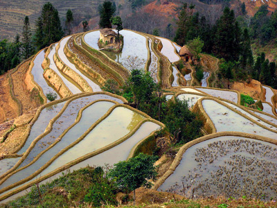 China Tours, Yunnan Travel Guide, Yuanyang Terraced Fields of Yunnan