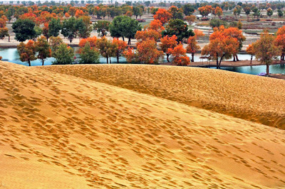 China Travel Guide, Xinjiang Tours, Lopnur Village of Xinjiang