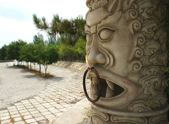 China Tours,Ningxia Tours,Western Xia Museum