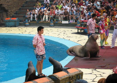 China Tours, Dalian Travel Guide, Tiger Beach Ocean Park of Dalian