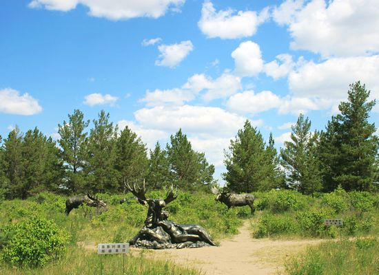 China Tours,Inner Mongolia Tours,Hulunbuir Tours,Hailar Tours,Hailaer National Forest Park