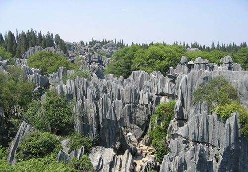 Forest Stone in Kunming