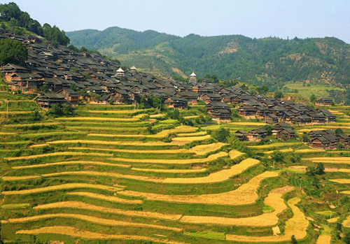 Sanjiang Dong Ecological Museum,Sanjiang Tours,Guangxi Tours,China Tours