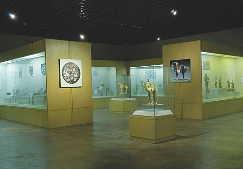 Kaifeng Museum,Kaifeng Attraction,Kaofeng Tours,Henan Tours,China trips