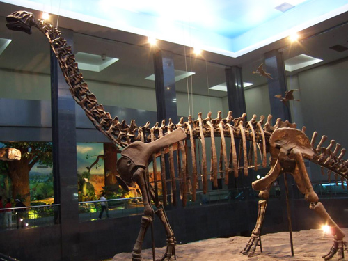 Inner Mongolia Museum,Hohhot Atrraction, Hohhot Tours,Inner Mongolia Tours,China Tours