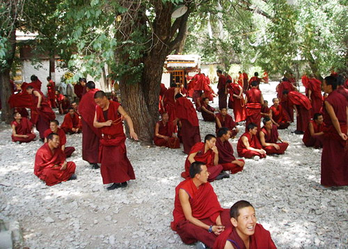 Lamas of a Tibetan temple are ready for the Lama Debating.