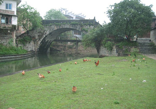 The old single-arch bridge in Daxv Ancient Town