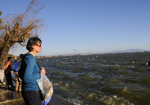 Tourists may feel peaceful and even got moved when you arrival the beautiful Dianchi Lake