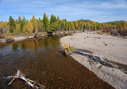 The Greater Khingan Mountain Areas is rich of animals, plants and other natural resources.