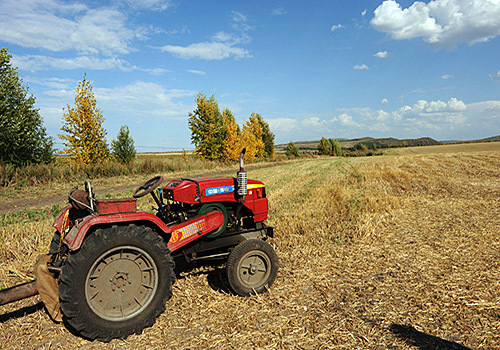 The former poor and wild lands had become one of the biggest granary in the world.