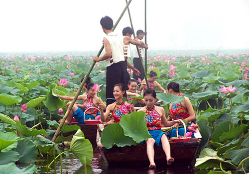 Traveling to the beautiful Weishan Lake and the lotus heaven.