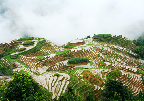 The "Seven Stars Accompany the Moon" is located in the Dragon's Backbone Rice Terraces,Ping'an Village,Longsheng,Guilin.