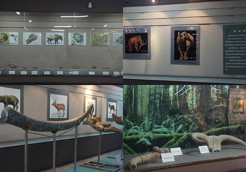 The inside of the Supplementary Exhibition Hall of Banpo Museum in Xi'an City.