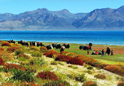 Beautiful sceneries around the Lake Manasarova,Tibet