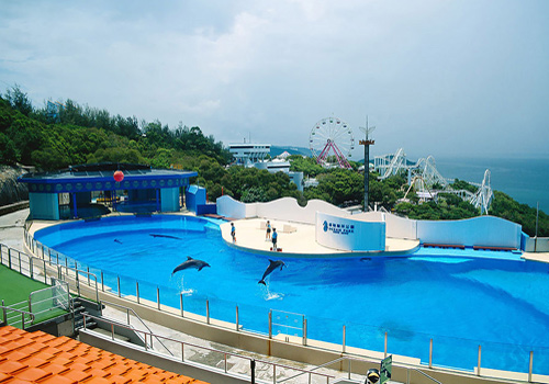Dolphins of Hong Kong Ocean Park are jumping happily in the pool.