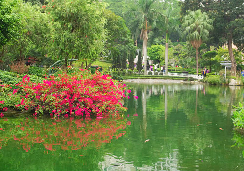 HK Zoological and Botanical Gardens is boasts over 1000 species of plants mainly from tropical and subtropical zones.