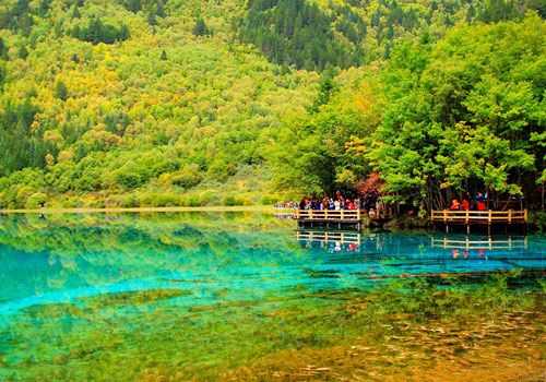 Being covered by 52% natural forest,Jiuzhaigou Valley Scenic and Historic Interest Area has a large variety of flora and fauna.