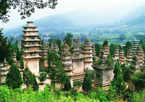 The forest of towers,located in the west of Shaolin Temple at the foot of a hill,is the existing largest one in China.