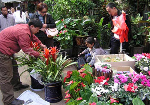 Flowers available at all seasons has become a trademark of Kunming.