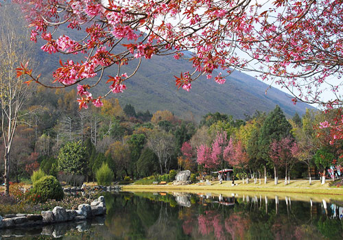 The beauty of Butterfly Spring lies in the season of spring with blooming flowers and colorful butterflies.