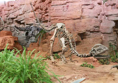 The dinosaur fossils exhibited in Kunming Museum,Kunming